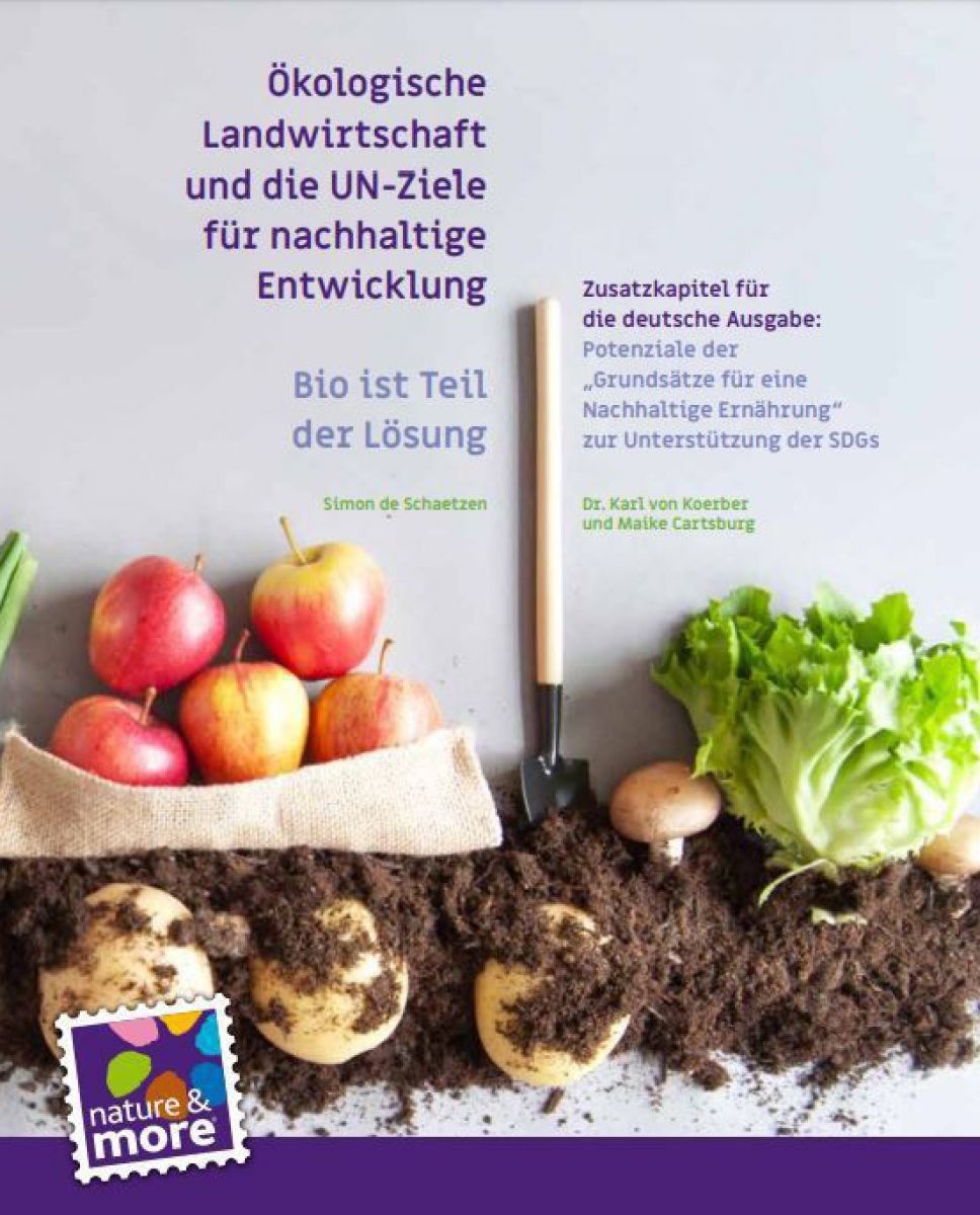 Cover Report. 