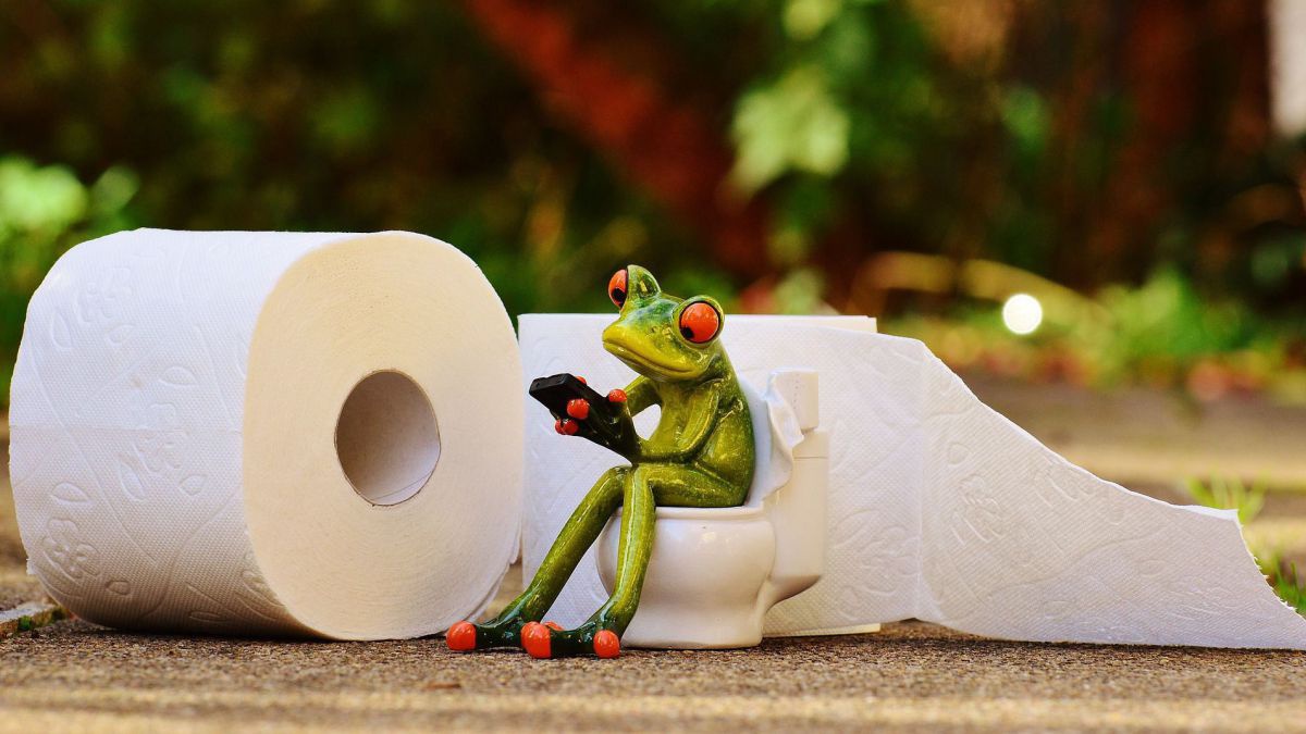 Toilettenpapier Rollen.