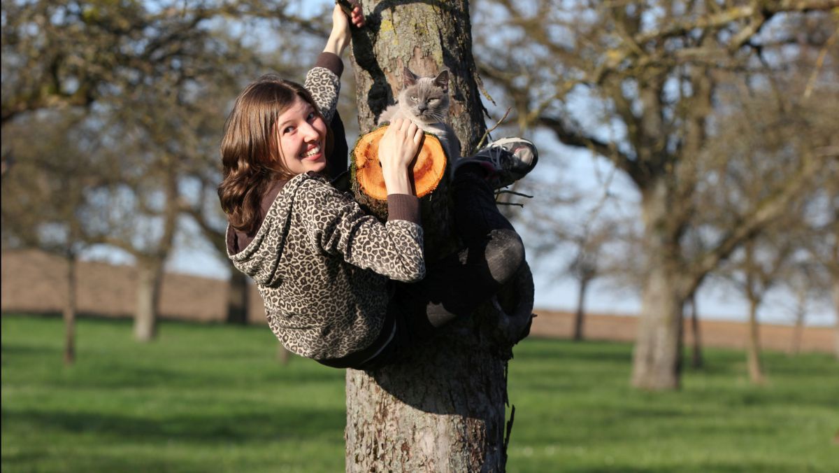 Mädchen klettert auf Baum.