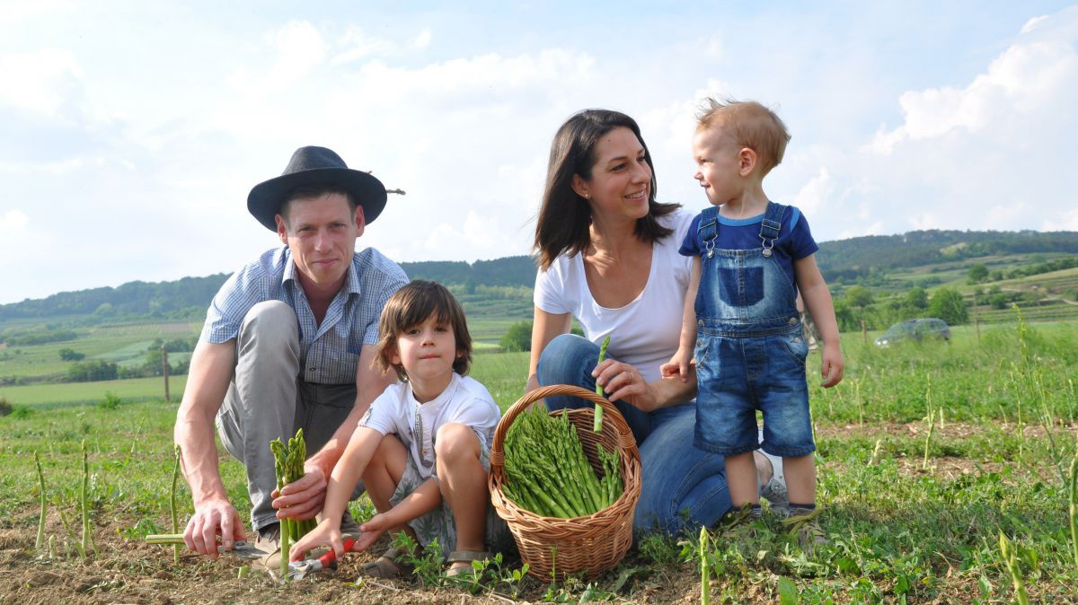 Familie bei der Spargelernte auf dem Feld.
