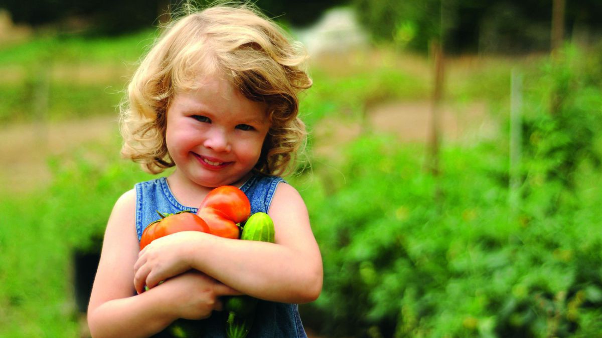 Ein kleines Mädchen trägt Gemüse