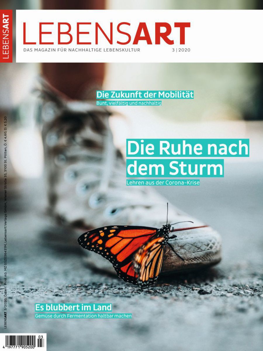 Das Cover der LEBENSART 03 2020 zeigt einen Schuh, auf dem ein Schmetterling sitzt.