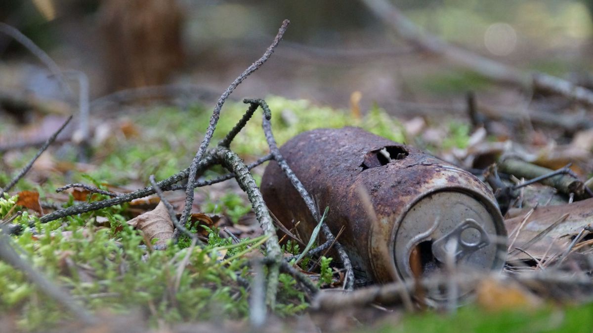 eine verrostete Dose liegt am Waldboden
