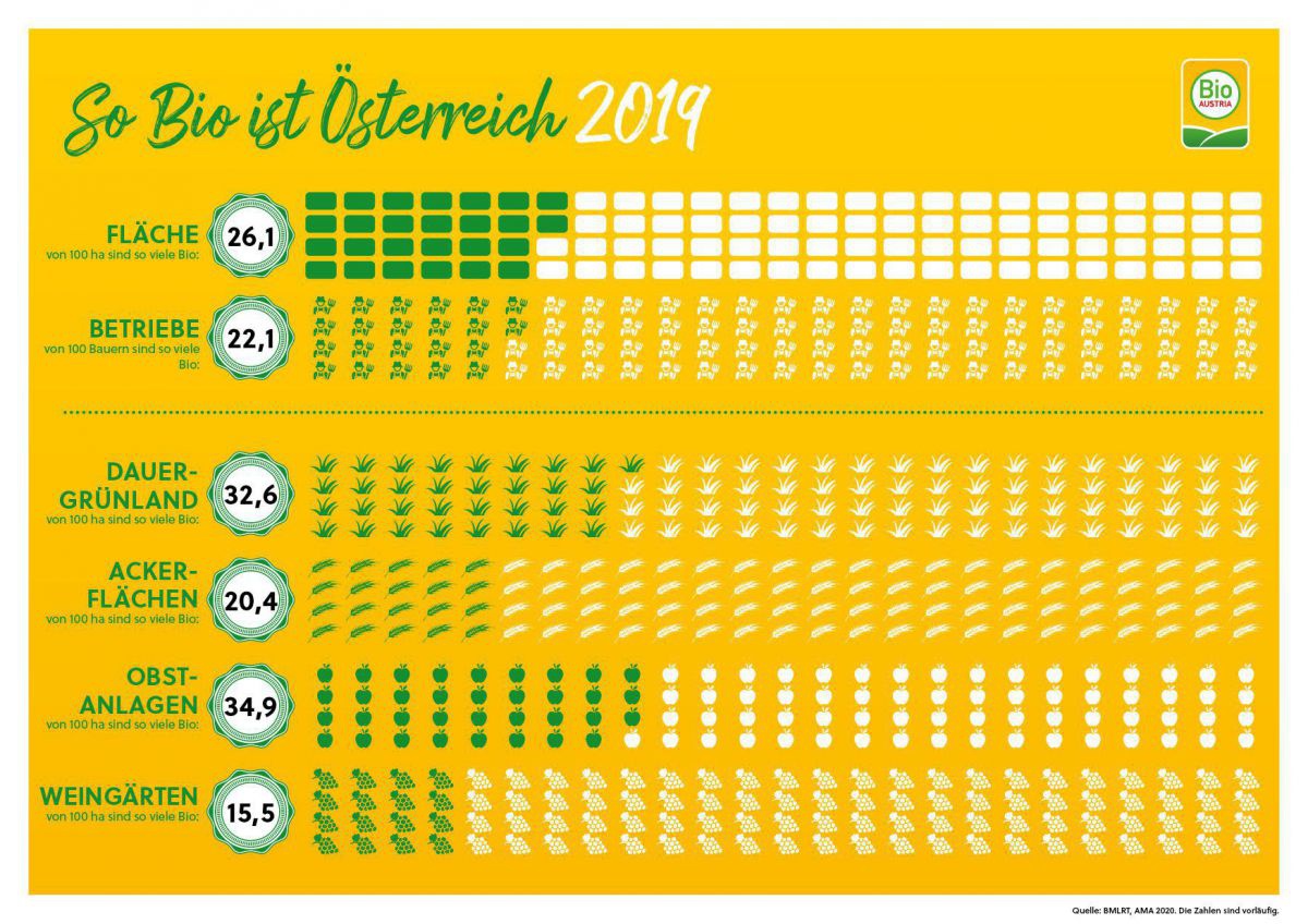 Die Grafik zeigt den Bio-Anteil bei der bewirtschafteten Fläche, den Betrieben, im Grünland, Ackerfläche, Obstanlagen und Weingärten