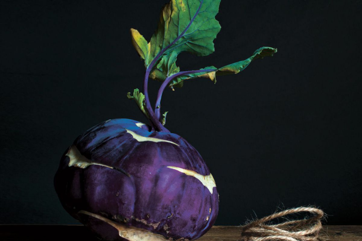 Ein violetter Kohlrabi vor dunklem Hintergrund
