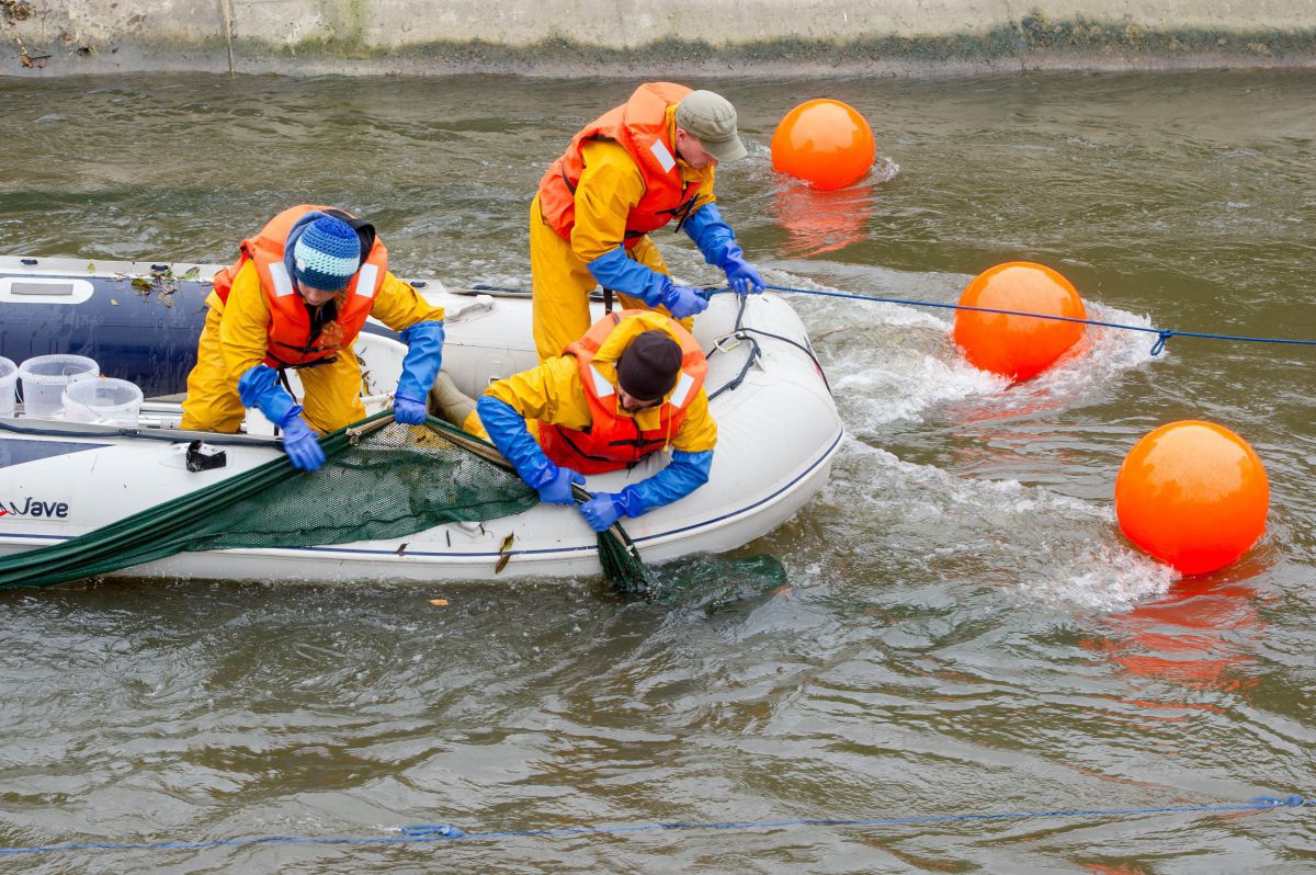 Personen in organgenen Schwimmwesten ziehen ein Netz in ein Boot.