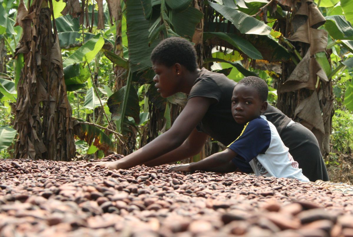 Kind hilft einer Frau beim Trocknen der Kakaobohnen