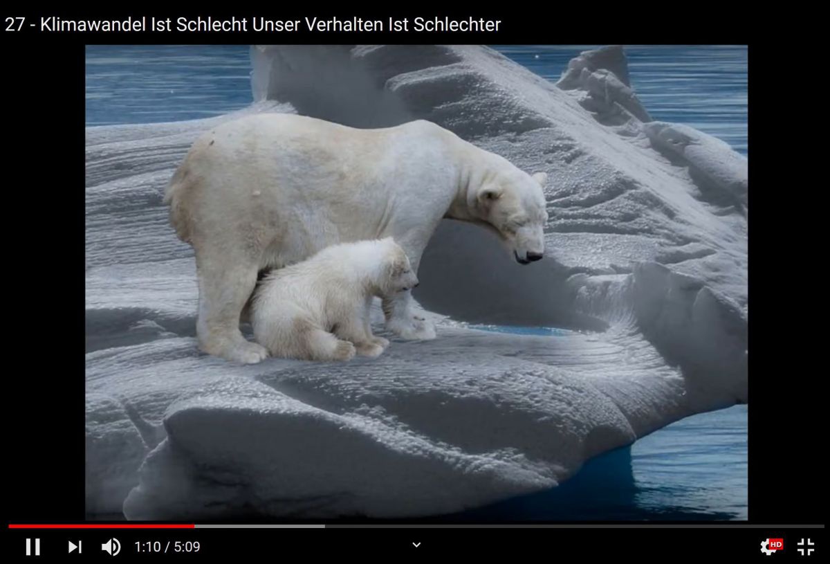 Ein Screenshot aus einem der Filme zeigt einen Eisbären und ein Eisbeerenjunges auf einer Eisscholle