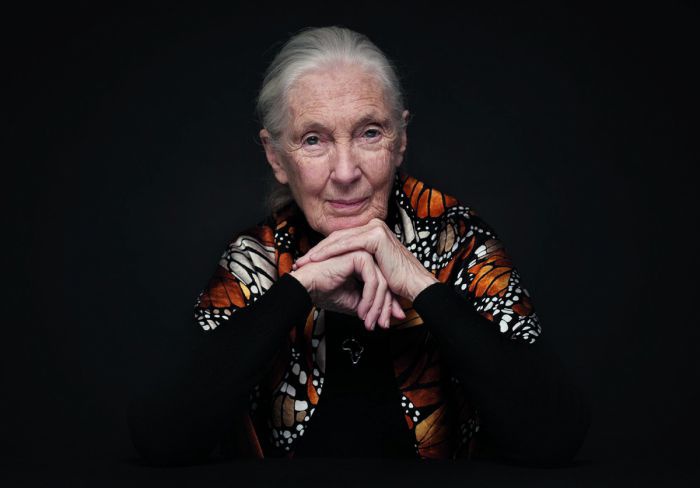 Jane Goodall hat das Kinn auf die Hände gestützt. Sie trägt ein Schultertuch in weiß und rosttönen, ansonsten verschwimmt ihr schwarzer Pulli mit dem schwarzen Hintergrund.