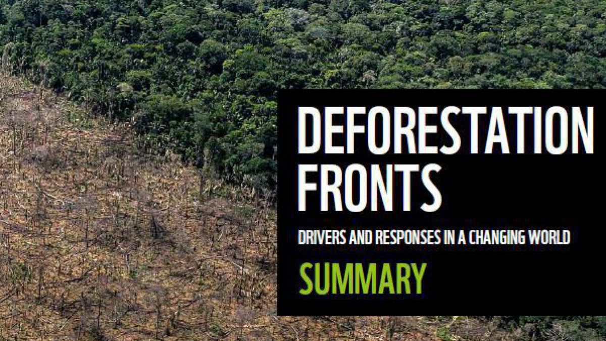cover-wwf-wald-report-2021-c-marizilda-cruppe-wwf-uk