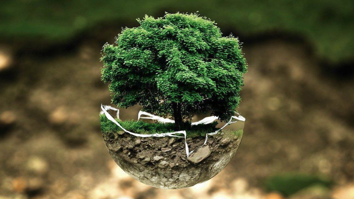 photoshopper24-environmental-protection-683437_1280