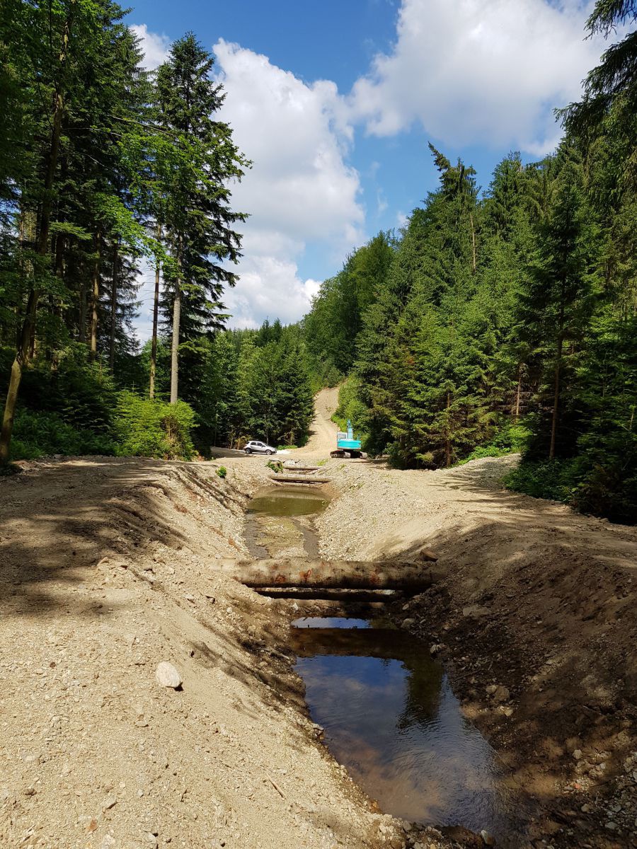 Ein Graben zwischen zwei Waldabschnitten in den Baumstämme quer eingebaut sind. 