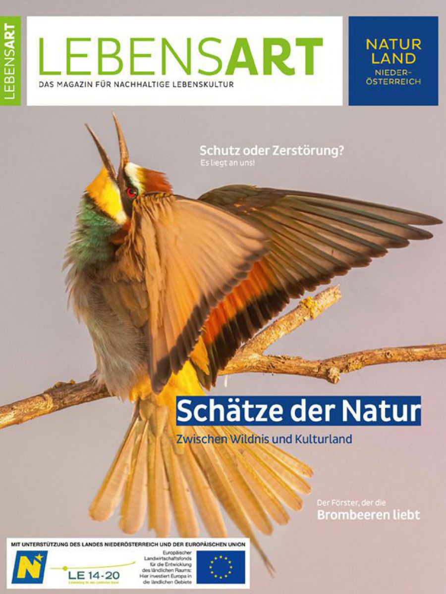 Das Cover zeigt einen Bienenfresser, der auf einem Ast sitzt und seine Flügel spreizt.