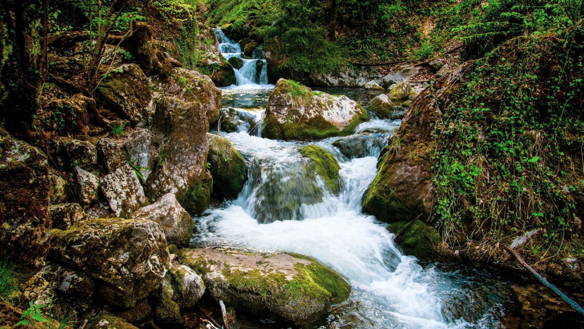 Bemooste Felsen über die ein Bach fließt.