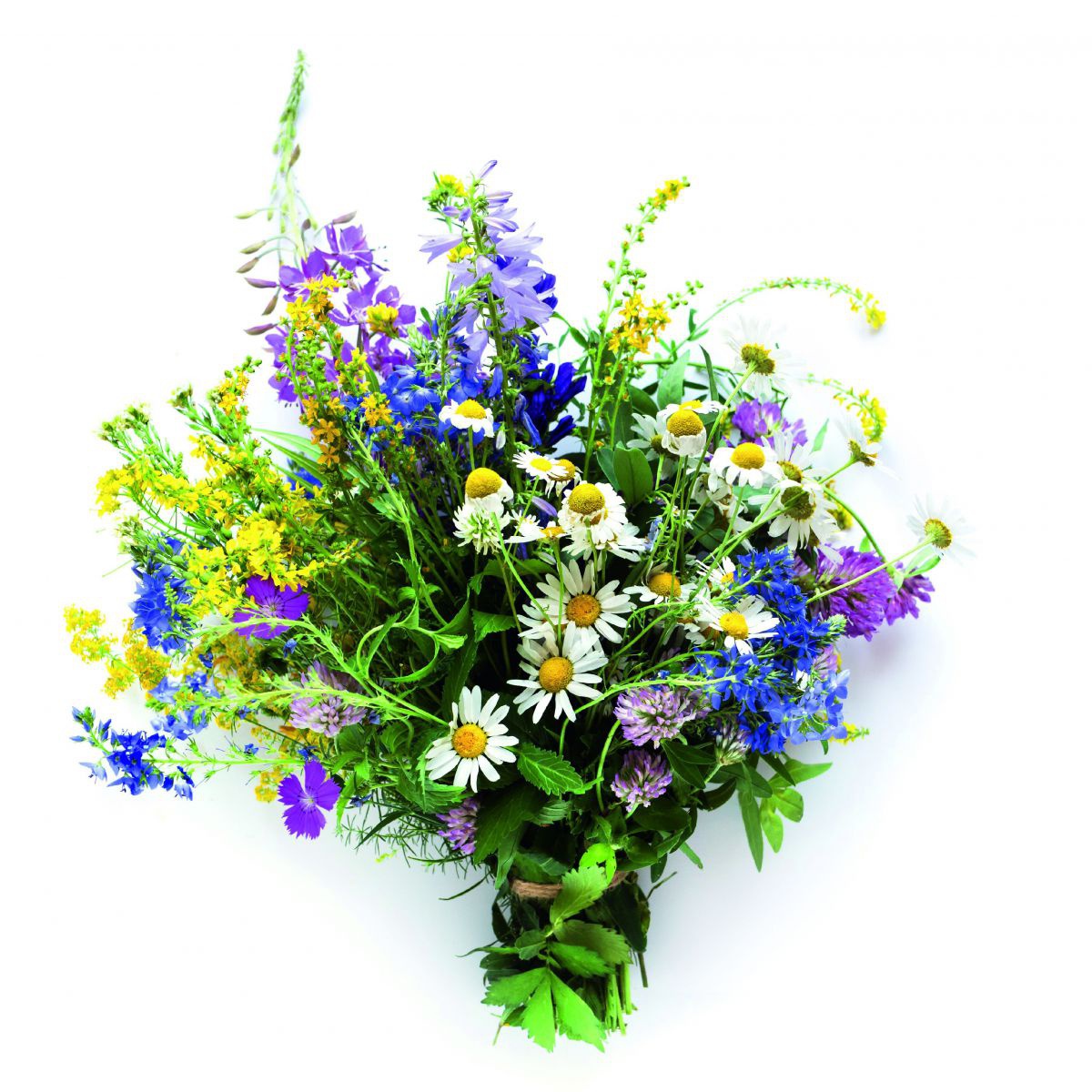 Ein bunter Wiesenblumenstrauß.