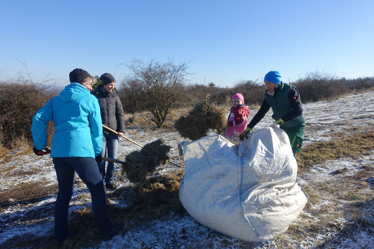 Drei Erwachsene und ein Kind schaufeln Gradschnitt in einen Sammelsack.