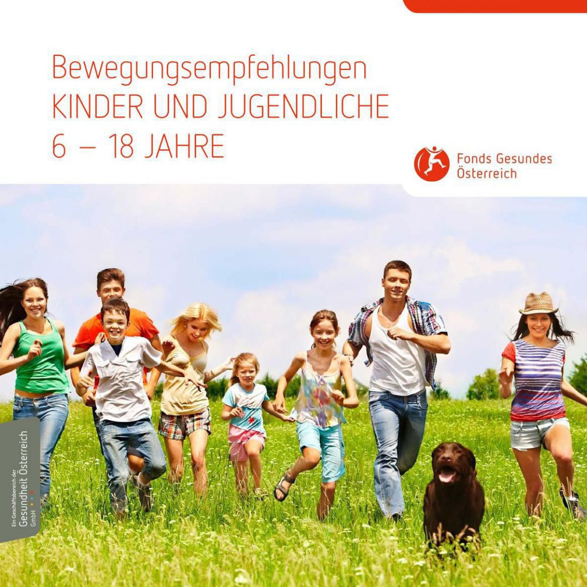 Auf dem Cover läuft eine Gruppe Kinder und Jugendlicher auf einer Wiese im Freien auf die Kamera zu.