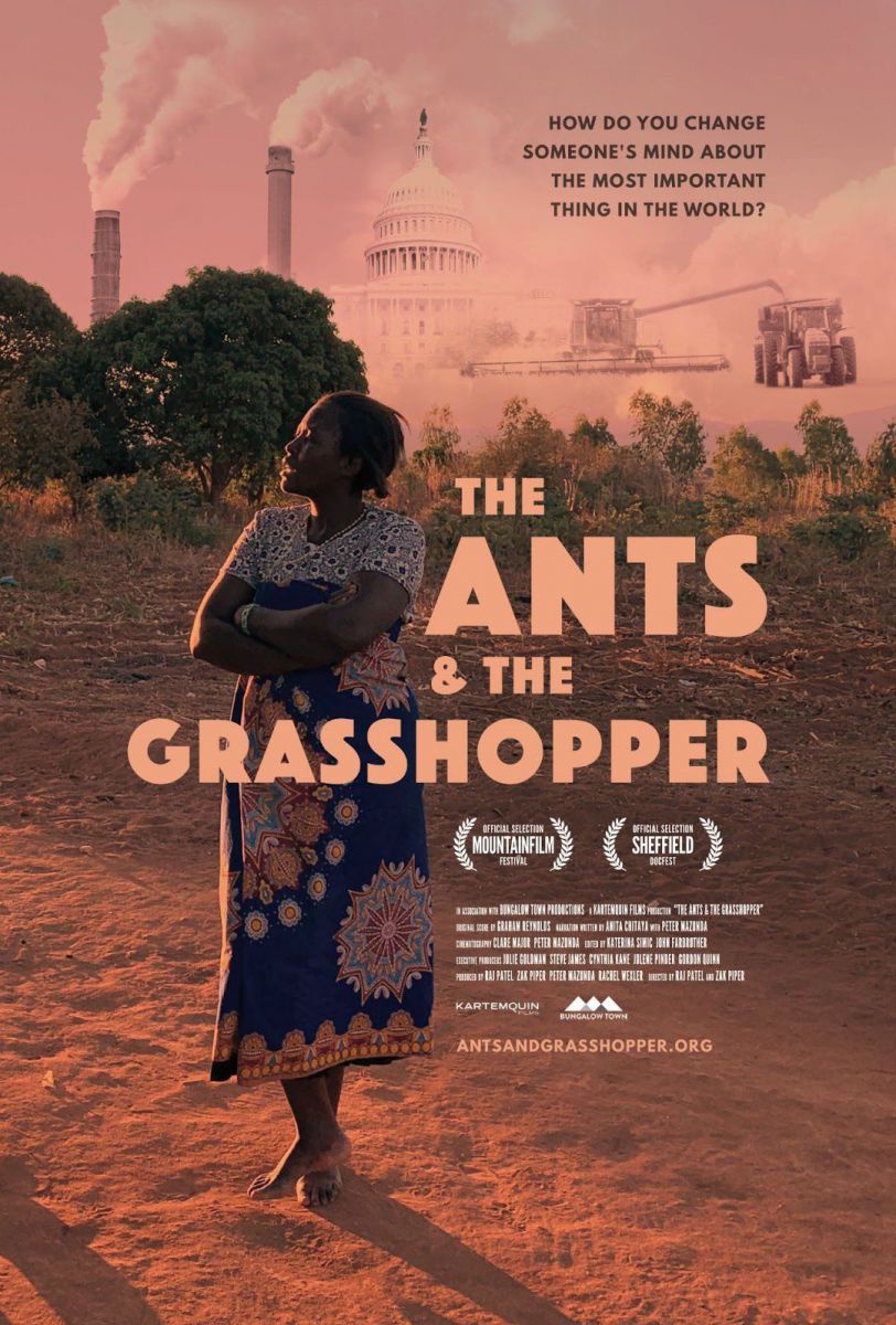 Das Filmposter zeigt eine Schwarze Frau, die barfuß auf roter Erde steht. Sie trägt bunte Kleidung und hat die Arme verschränkt. Im Hintergrund überlagern Fabrikschlote, Agrarmaschinen und das Kapitol den Himmel.