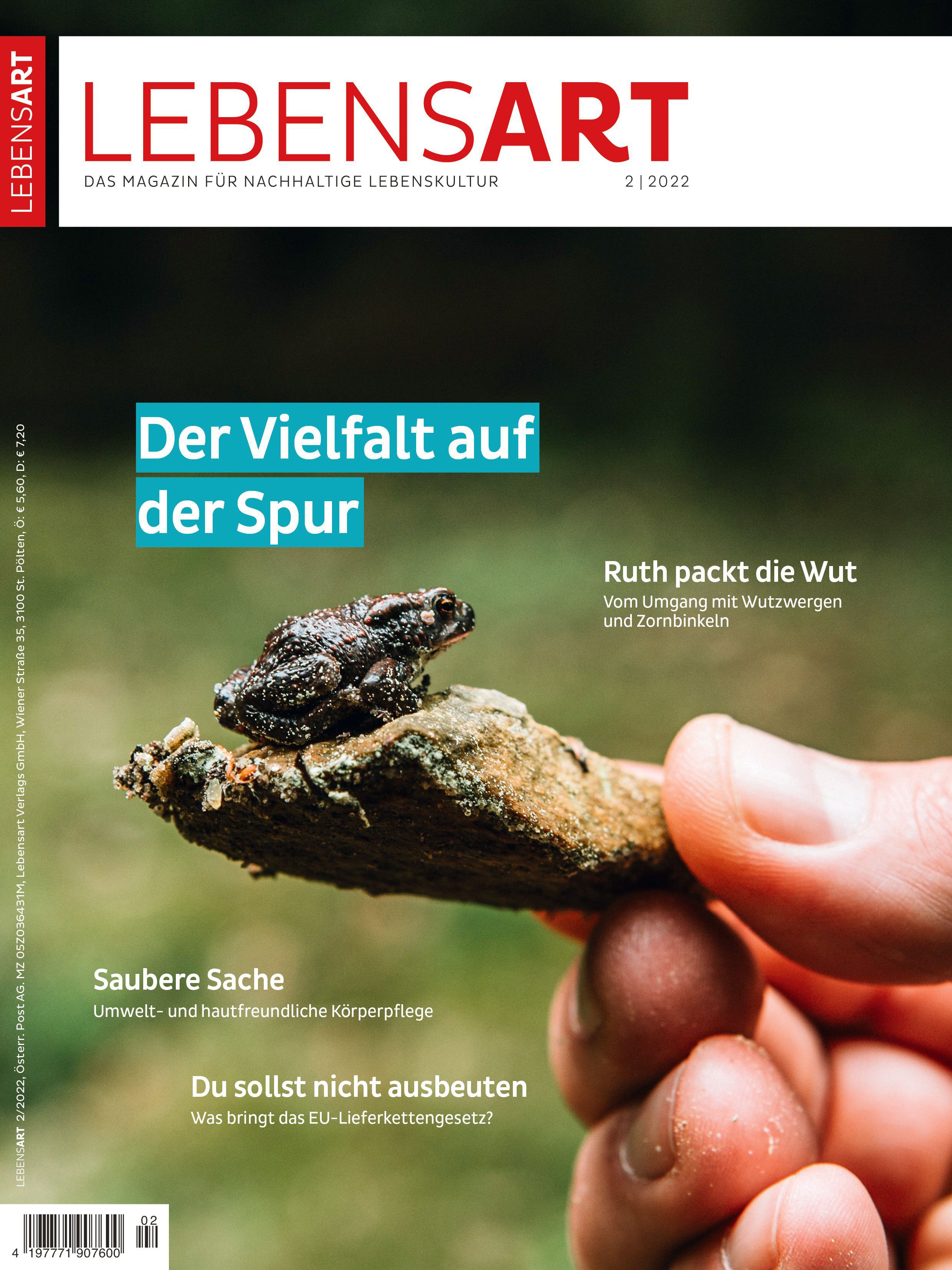 Auf dem Cover ist ein Teil einer Hand zu sehen, die einen Stein mit einem winzigen Frosch hält. Darüber steht 