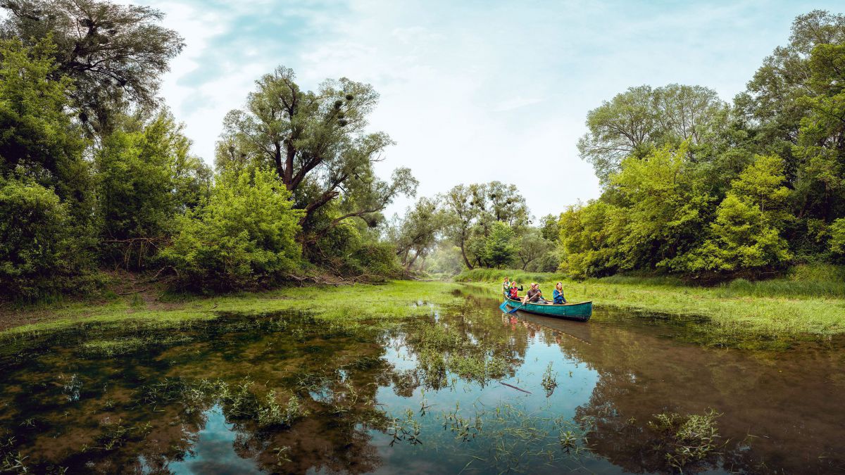 Fünf Personen rudern in einem Kanu auf einem ruhigen Augewässer. Ringsum sattes grün von Wasserpflanzen, Bäumen und Sträuchern. 