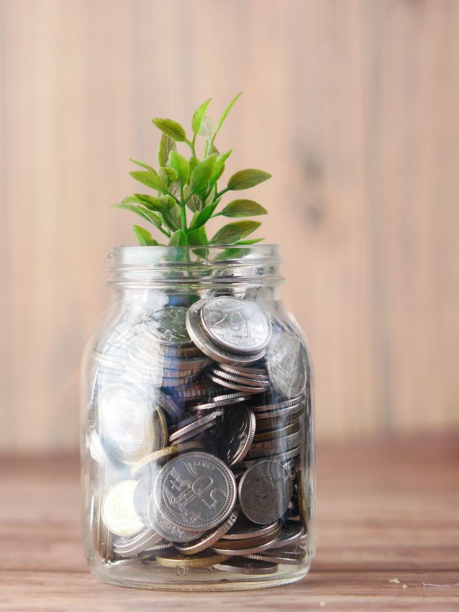 Ein Einmachglas ist mit Münzen gefüllt. Daraus wächst eine kleine Pflanze.