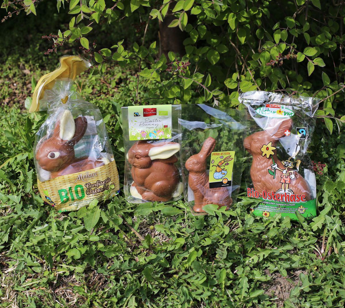 Vier verpackte Schokohasen stehen im grünen Gras.