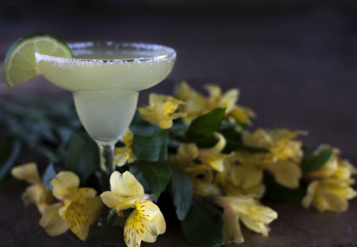 Ein blasgelber Drink in einer Cocktailschale steht inmitten von gelben Blüten. Das Glas hat einen Salzrand, an ihm steckt eine Limettenscheibe.