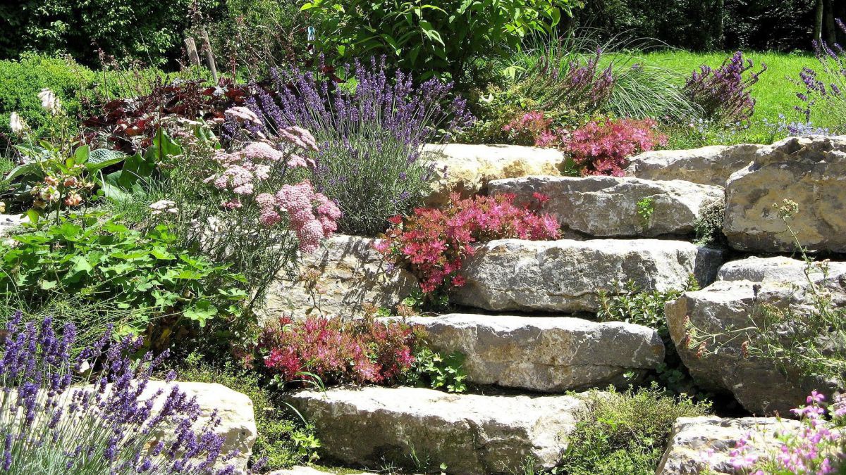 Ein mit flachen Steinen terrassenförmig angelegter Steingarten.