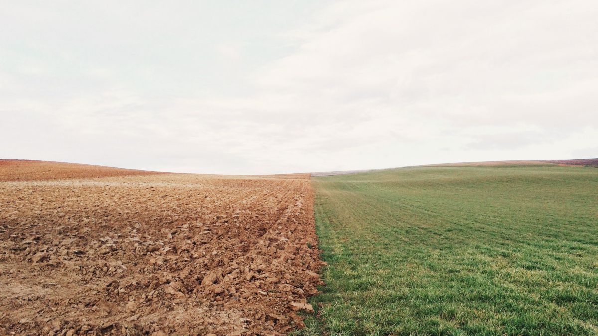 Zwei angrenzende Landstücke - eines mit grünem Gras bewachsen, eines umgepflügt mit trockener Erde.