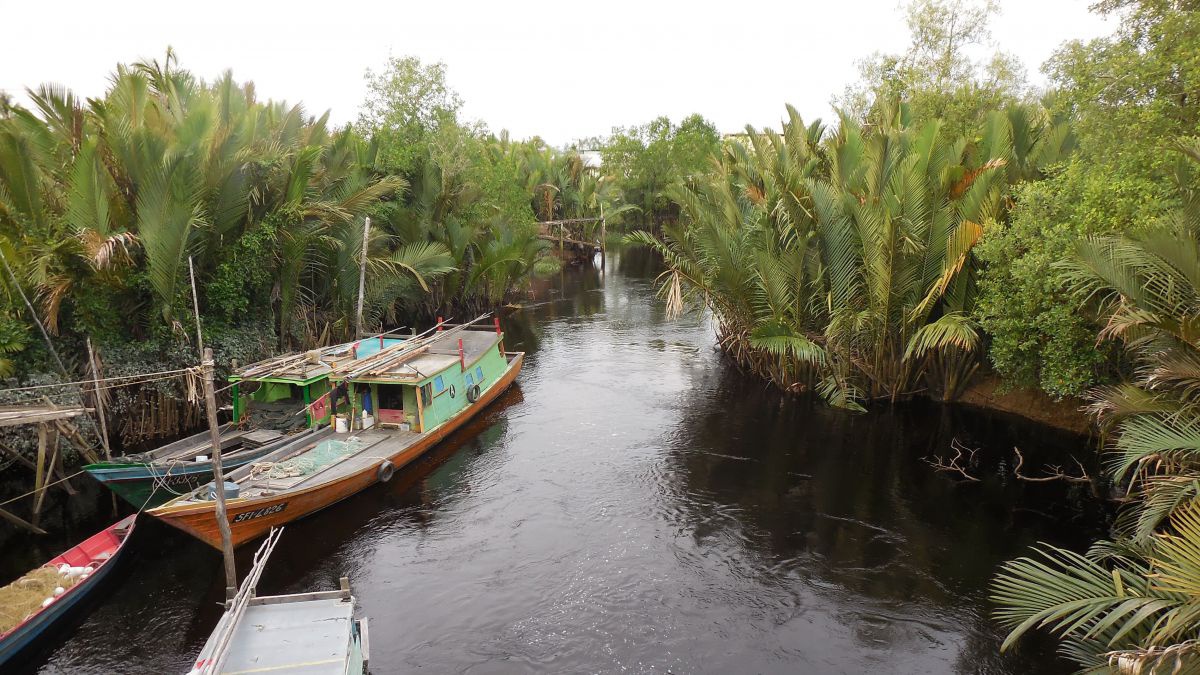 Ein dunkler Fluss durch eine tropische Vegetation. Darauf einige bunte Kähne.