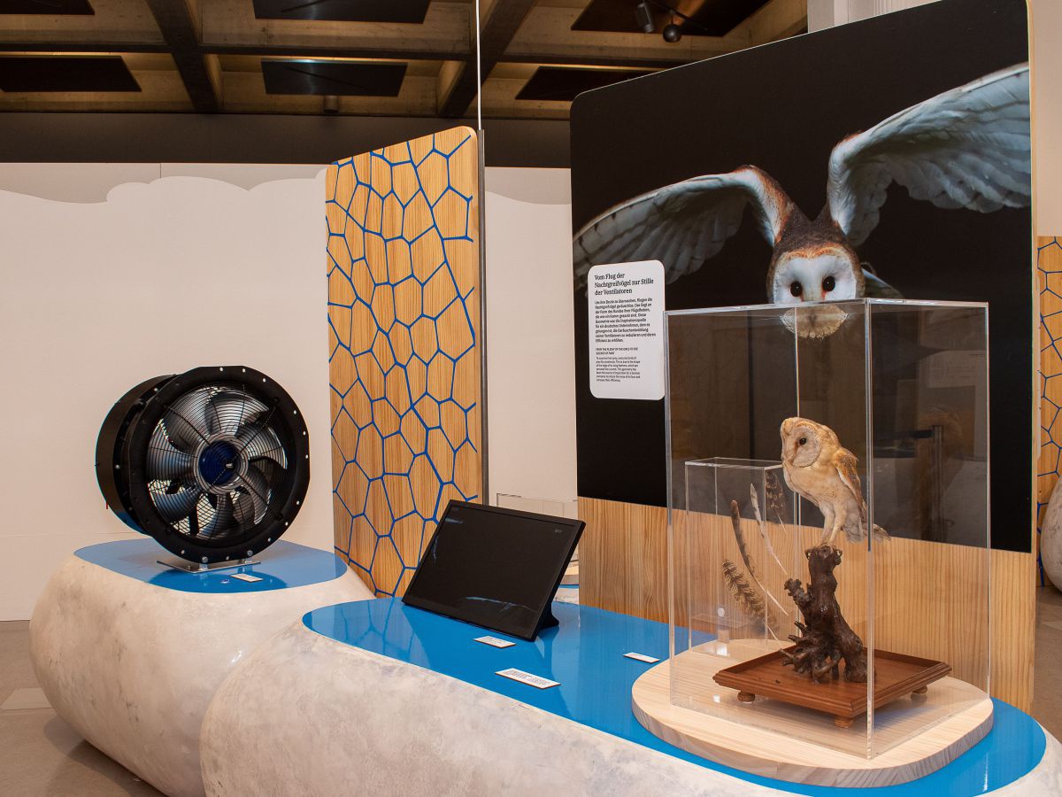 Eine Ausstellungsinsel, die den Flug der Schleiereule nachvollziehbar macht.
