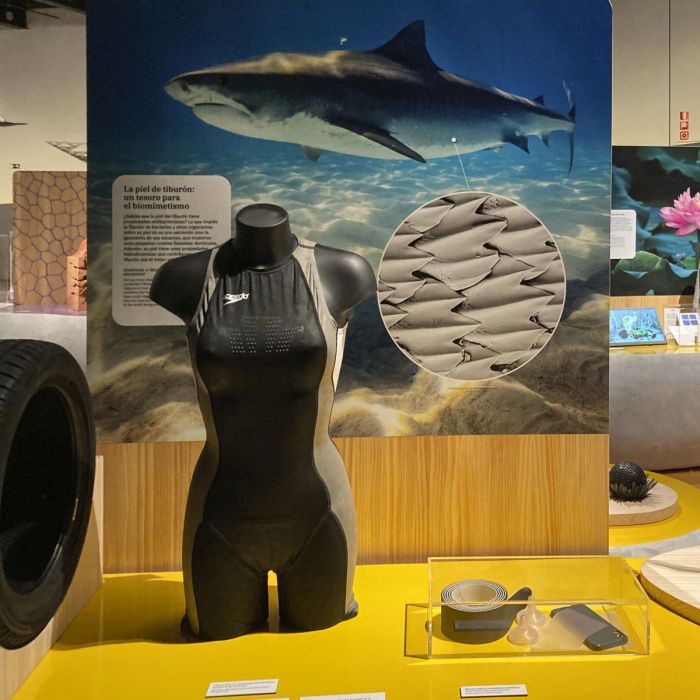 Auf einer Ausstellungsinsel ist ein Tauchanzug und andere Anwendungen des Prinzips der Haifischhaut sichtbar.