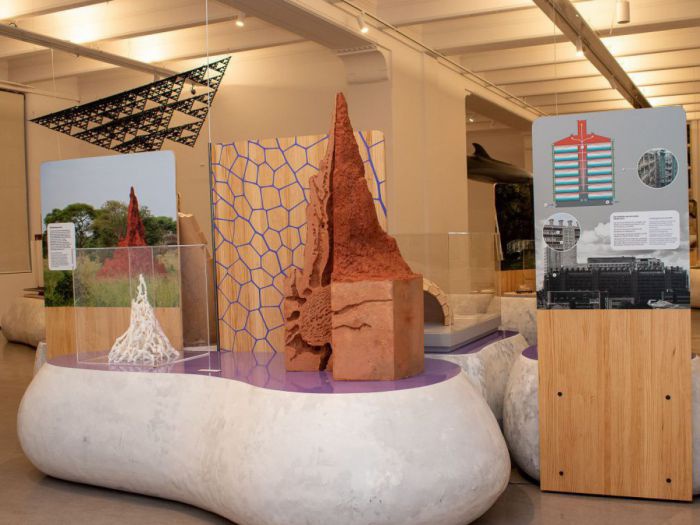 Auf einer Ausstellungsinsel befinden sich zwei Modelle von Termitenbauten sowie ein Modell einer Gebäudebelüftung.