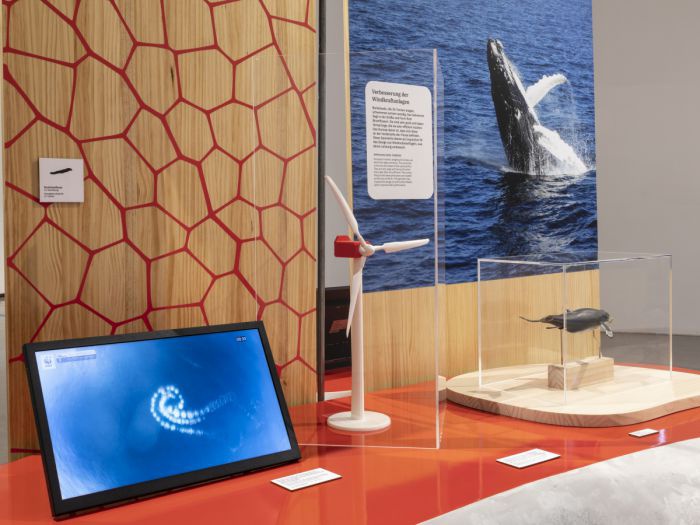 Auf einer Ausstellungsinsel sieht man Modelle eines Buckelwals und einer Windturbine. Ein Bildschirm zeigt die Luft-/Wasserverwirbelungen.