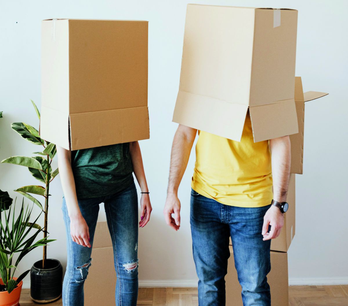Eine Frau und ein Mann stehen mit hängenden Armen vor einer leeren weißen Wand in einer Wohnung und haben jeweils eine große leere Karonbox über die Köpfe gestülpt. Im Hintergrund sieht man auf dem Parkettboden noch weitere Kartonboxen und zwei Zimmerpfla