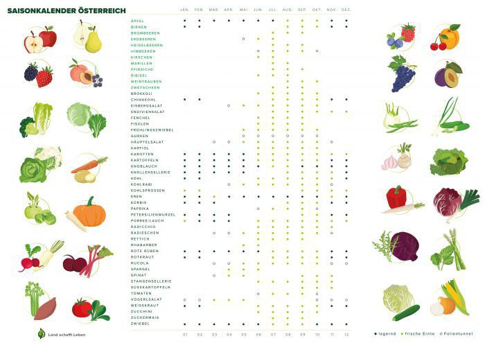 Ein Kalender in dem seitlich Obst und Gemüse illustriert gezeigt werden und in der Mitte mit Punkten erklärt wird, was gerade Saison hat.