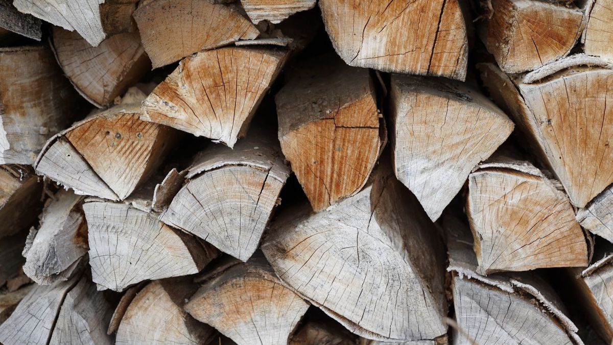 Ein Holzstoß so fotografiert, dass man die Kopfseite der geschlichteten Scheite sieht.