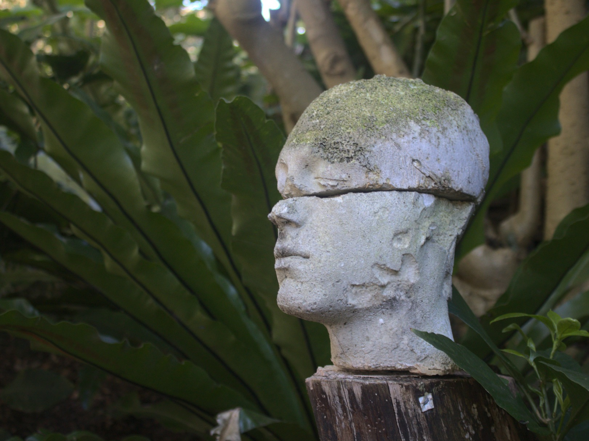 Ein menschlicher Kopf aus Stein gehauen auf einem Baumstumpf zwischen grünen Farnblättern. Der Kopf ist auf Höhe der Augen quer gespalten, die Hälften liegen aufeinander.