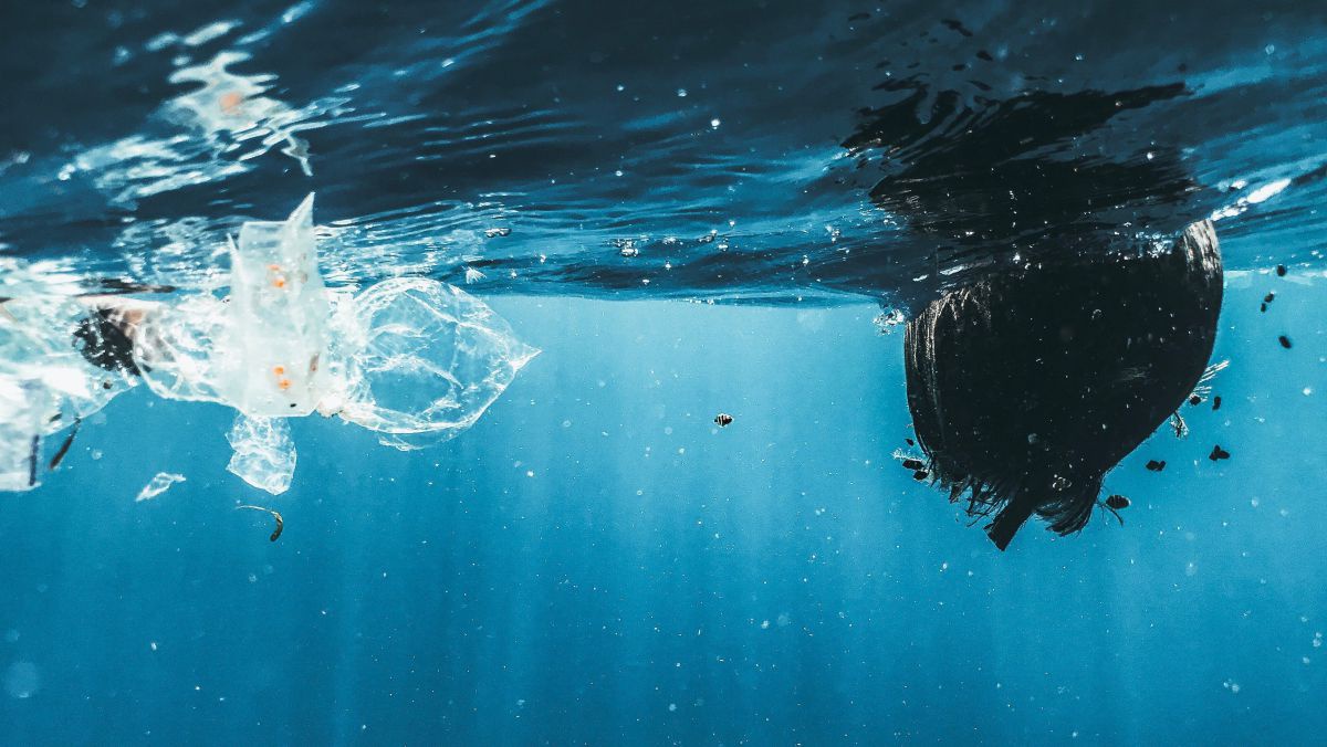 Plastikmüll im Meer, unter der Wasseroberfläche fotografiert.