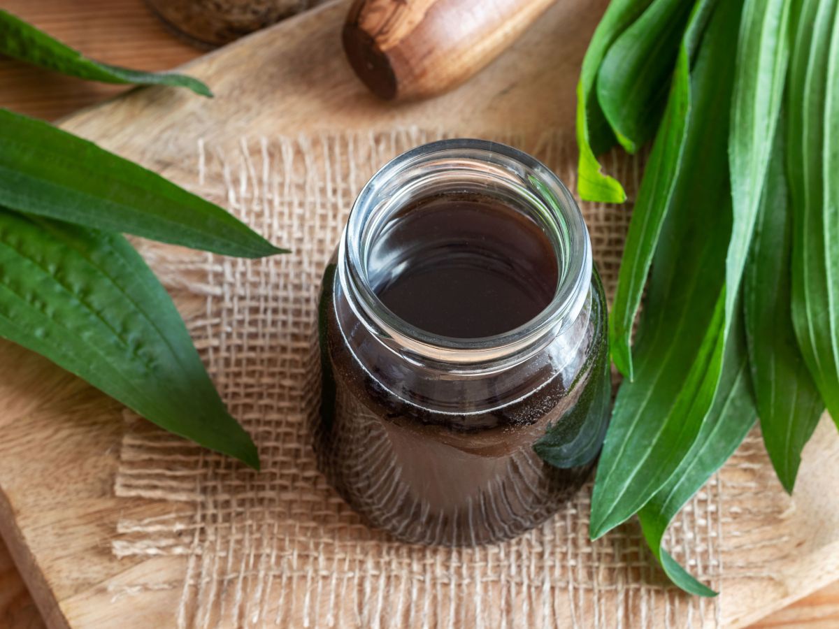 Spitzwegerichsirup