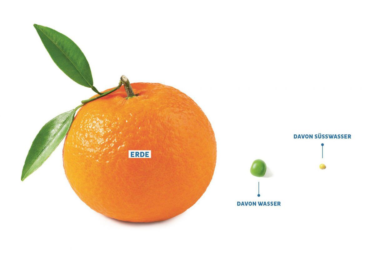 Eine Organge, beschriftet mit 