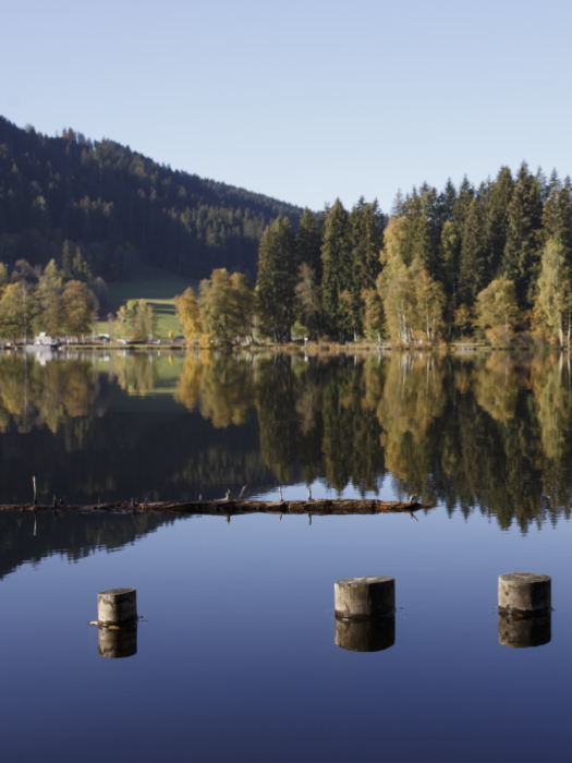 Ungetrübt ruhig liegt der Schwarzsee vor uns, der Stamm eines Nadelbaumes und einige Holzpfähle ragen aus dem Wasser. Das Wäldchen am gegenüberliegenden Ufer spiegelt sich perfekt auf der Wasserfläche.