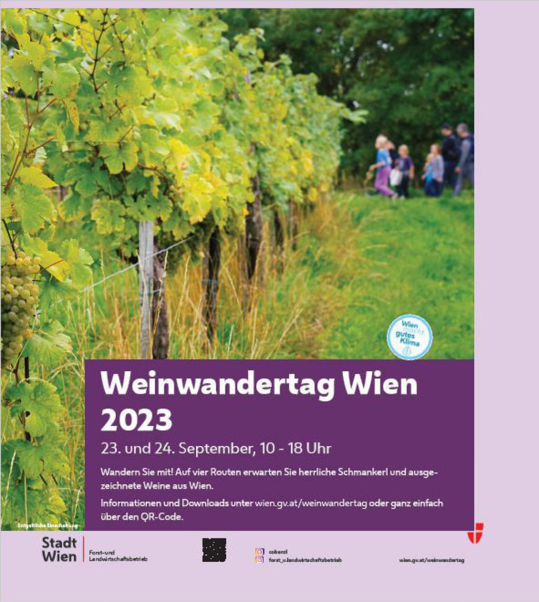 weinwandertag1_jpeg