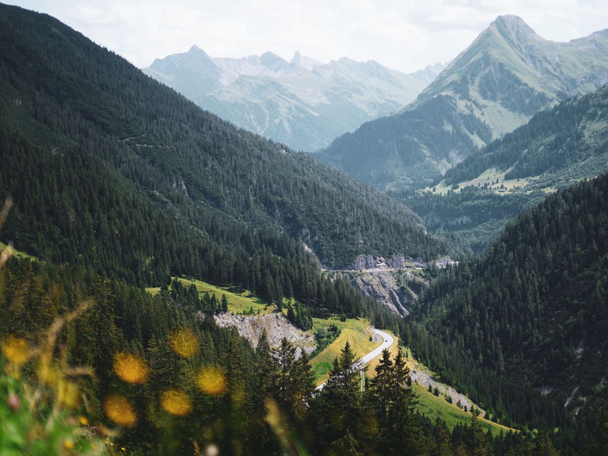 Blick von einer hochgelegenen Wiese auf eine enge Talstraße zwischen bewaldeten Hängen, im Hintergrund Bergpanorama.