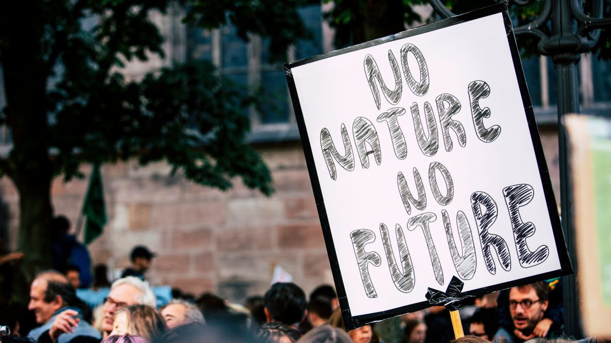 Auf einem Schild bei einer Demo steht 