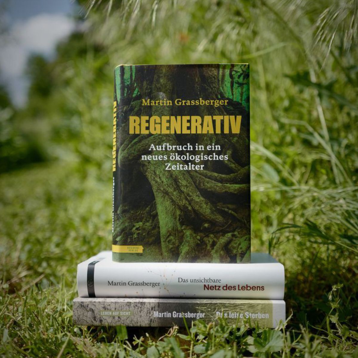 Das Buch mit dem Titel 