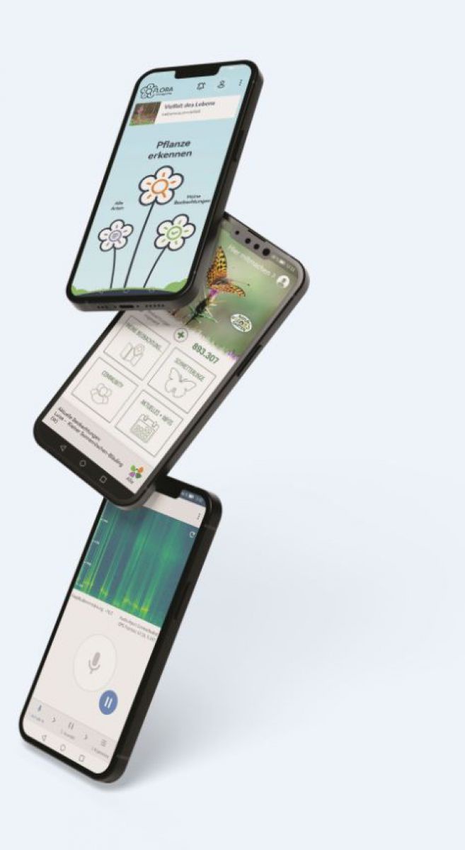 Drei Smartphones übereinander, frei schwebend. Alle drei Displays zeigen verschiedene Naturbestimmungsapps.