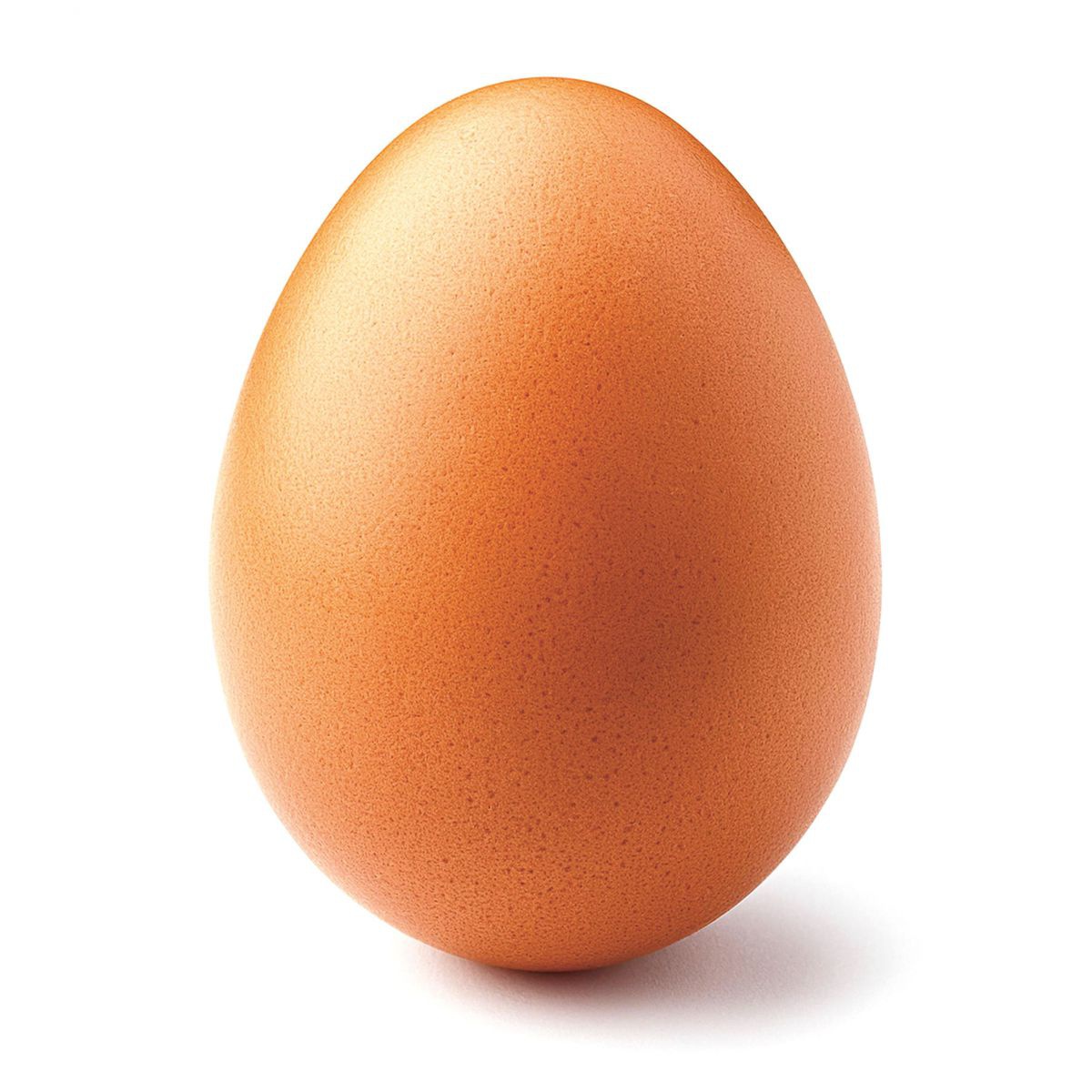 Ein braunes Hühnerei freigestellt vor weißem Hintergrund.