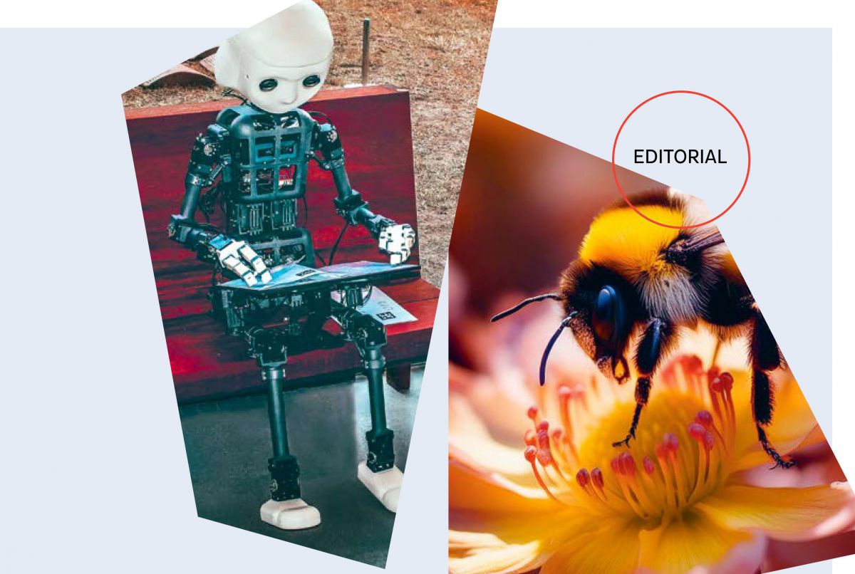 Collage aus zwei Bildern. Links: ein humanoider Roboter sitzt auf einer Bank und arbeitet auf einem Tablet. Rechts: Nahaufnahme einer Hummel, die auf einer gelben Blüte sitzt.