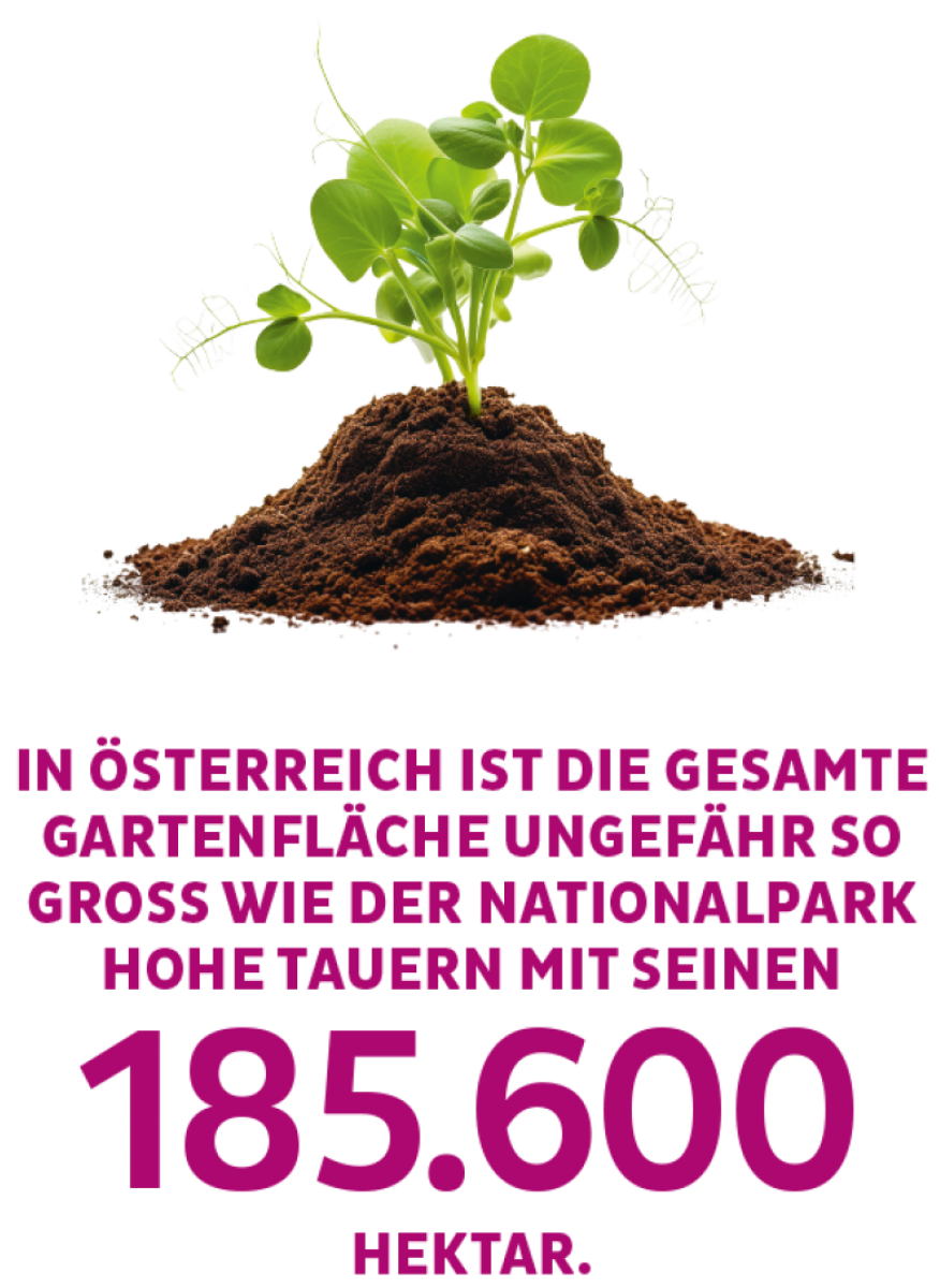 In Österreich ist die gesamte Gartenfläche ungefähr so groß wie der Nationalpark Hohe Tauern mit seinen 185.600 Hektar.